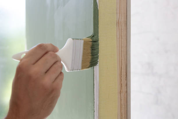 Best Mold Damage Restoration  in New Boston, OH