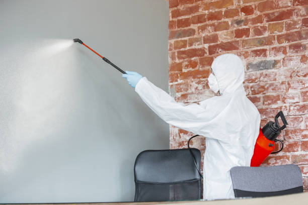 Best Indoor Air Quality Assessment  in New Boston, OH