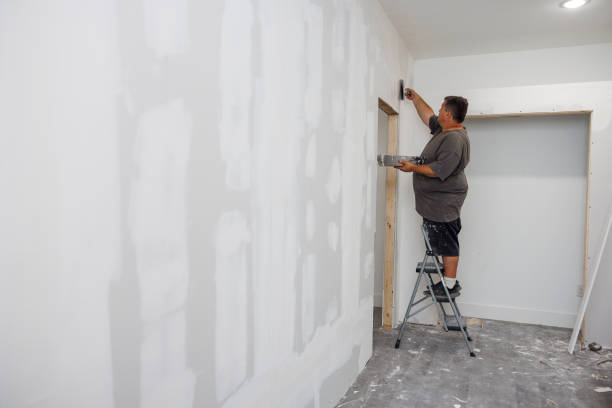 Best Water Damage & Mold Remediation  in New Boston, OH