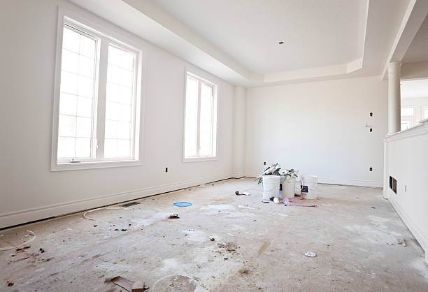 Best Attic Mold Removal  in New Boston, OH