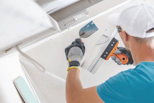 Best Emergency Mold Remediation  in New Boston, OH